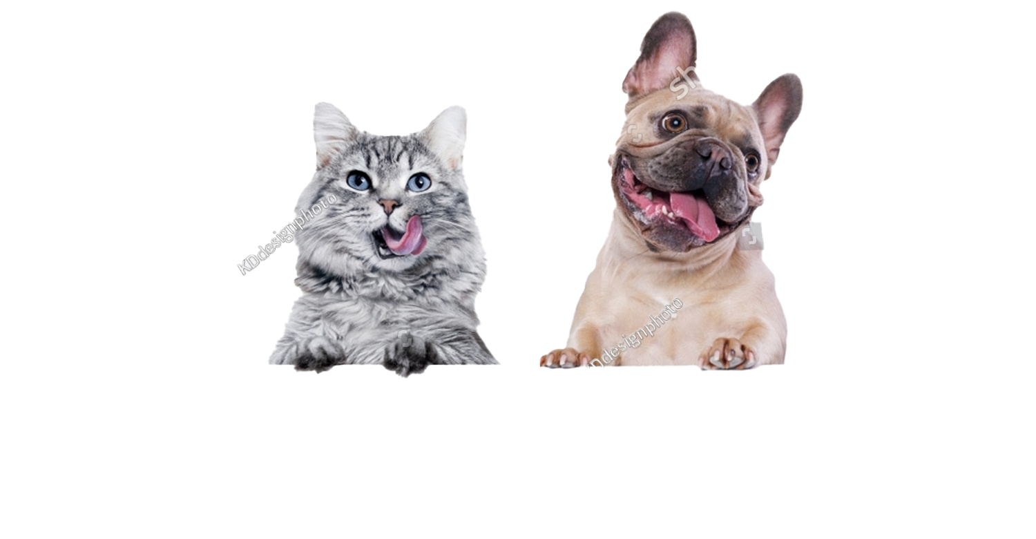 Korting op honden en kattenvoer