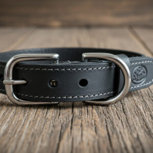 SAZZZ HALSBAND HOND NOMAD VINTAGE LEER ANTRACIET 32-39X2