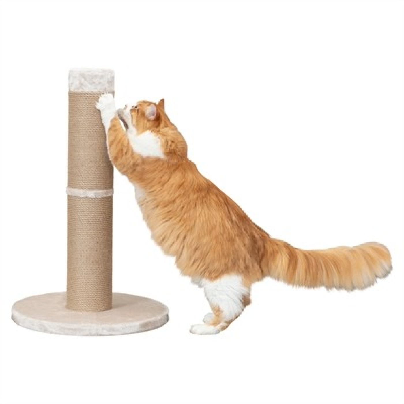 TRIXIE KRABPAAL RUE XXL BEIGE 50X50X80 CM - Afbeelding 5