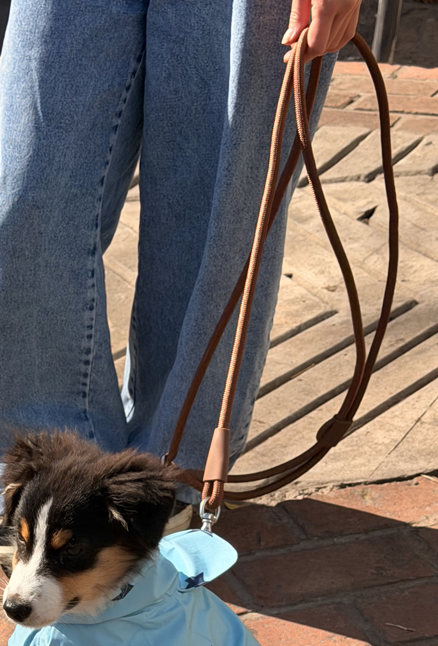 Fangz Anti-trek Y-tuig Harnas voor Hond met Handsfree Riem – Bruin - L - Afbeelding 7